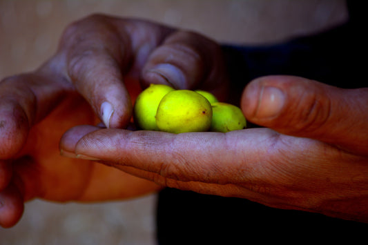 Ancient Moroccan Beauty Secrets: The Wisdom Behind Today’s Clean Skincare
