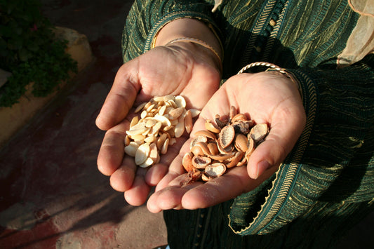 Unlocking the Secrets of Argan Oil: Nature’s Liquid Gold from Souss